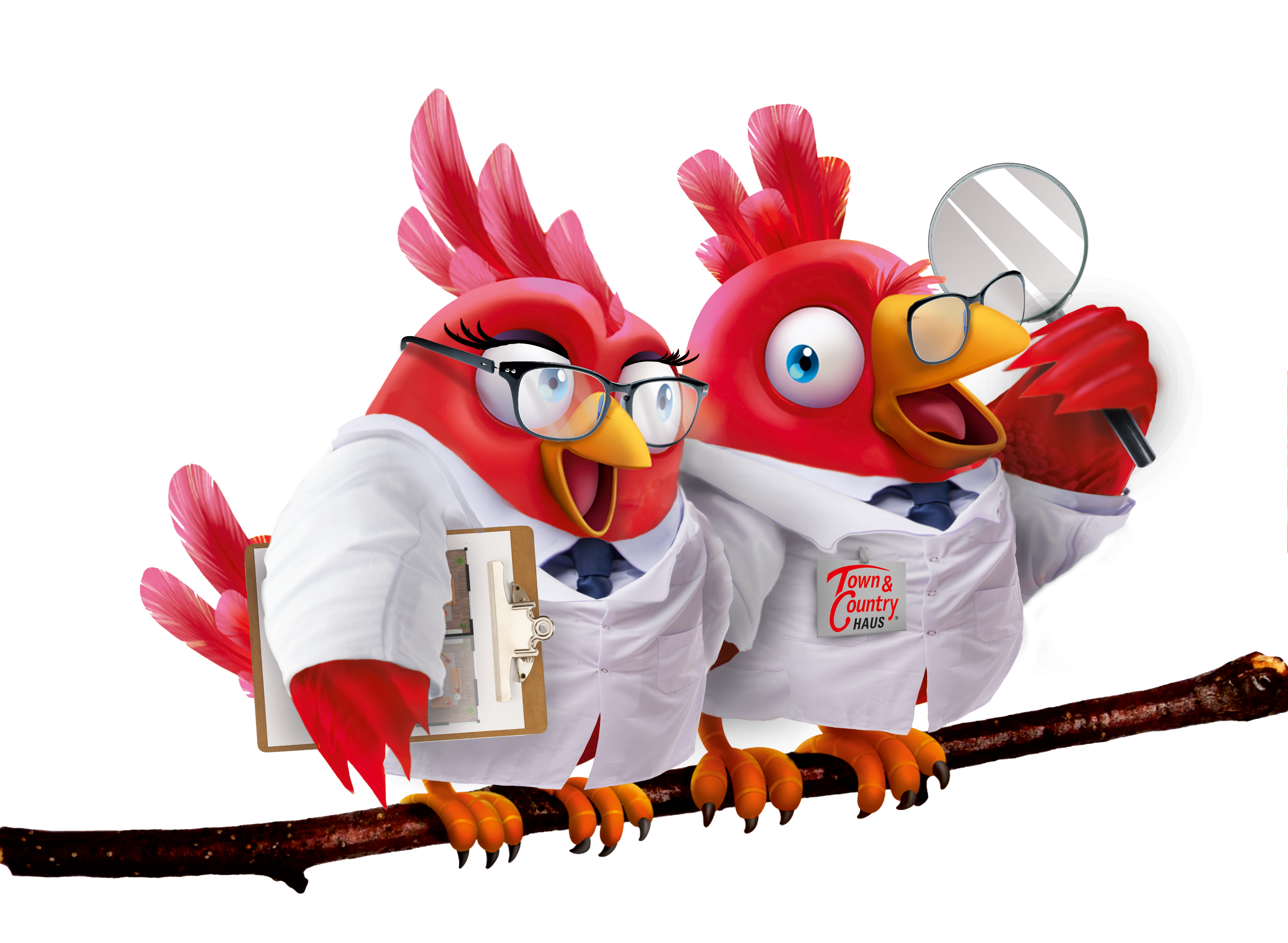 Nestexperten-Schritt-9