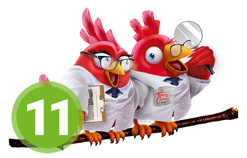 Schritt-11-Qualitaetskontrolle Nestexperten Schritt 11