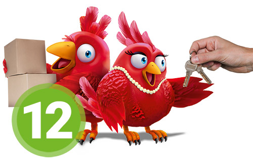 Schritt-12-Umzug-Einzug Nestexperten Schritt 12