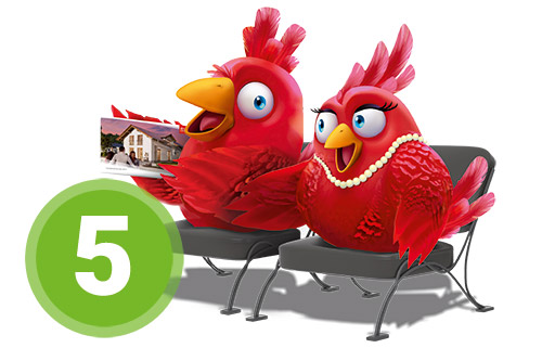 Schritt-5-Bauvorbereitungsgespraech Nestexperten Schritt 5